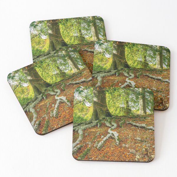 Item preview, Tree Roots designed and sold by MLP Fine Art.