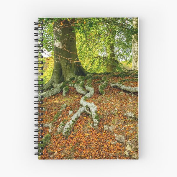 Item preview, Tree Roots designed and sold by MLP Fine Art.