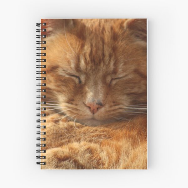 Item preview, Cute Ginger Cat designed and sold by plane31.