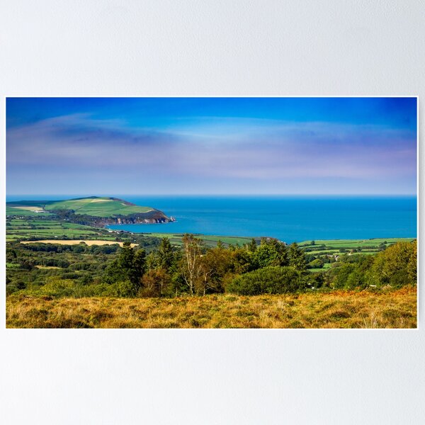 Item preview, Dinas Head designed and sold by MLP Fine Art.