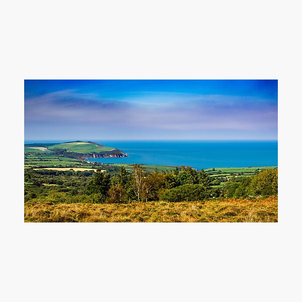 Item preview, Dinas Head designed and sold by MLP Fine Art.
