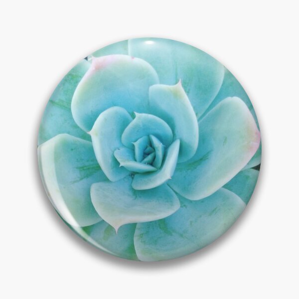 Item preview, A Succulent Succulent designed and sold by Shellgirlpearl.