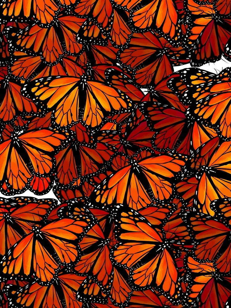 Schmetterlinge - Butterflies by ruhefuchs