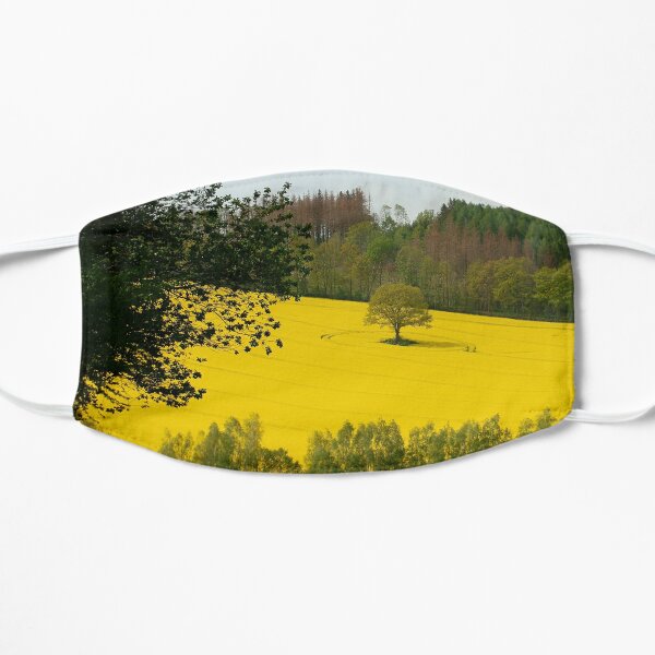 Rapeseed field in spring Mask