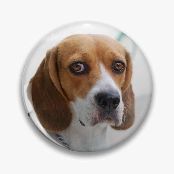 Item preview, Beagle dog portrait dogs pet pets puppy art cute Beagles  designed and sold by Coolstuff4you71.