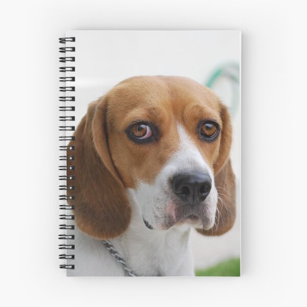Item preview, Beagle dog portrait dogs pet pets puppy art cute Beagles  designed and sold by Coolstuff4you71.