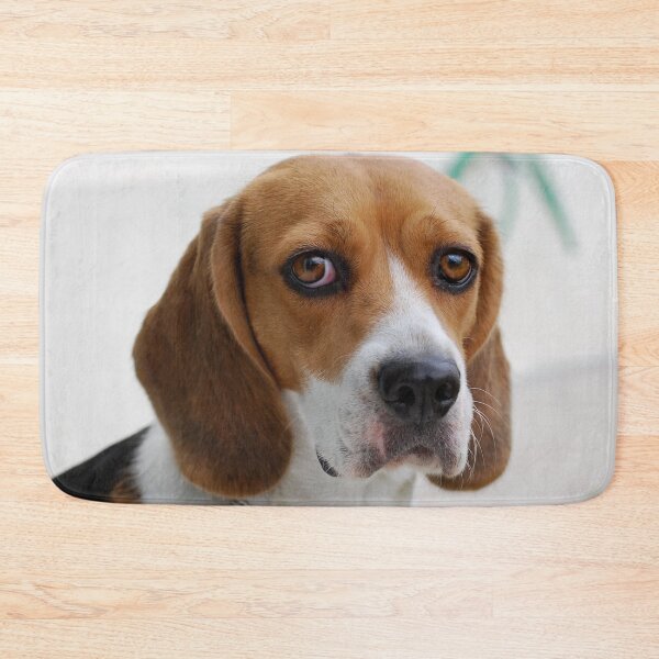 Item preview, Beagle dog portrait dogs pet pets puppy art cute Beagles  designed and sold by Coolstuff4you71.