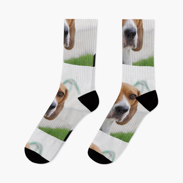 Item preview, Beagle dog portrait dogs pet pets puppy art cute Beagles  designed and sold by Coolstuff4you71.