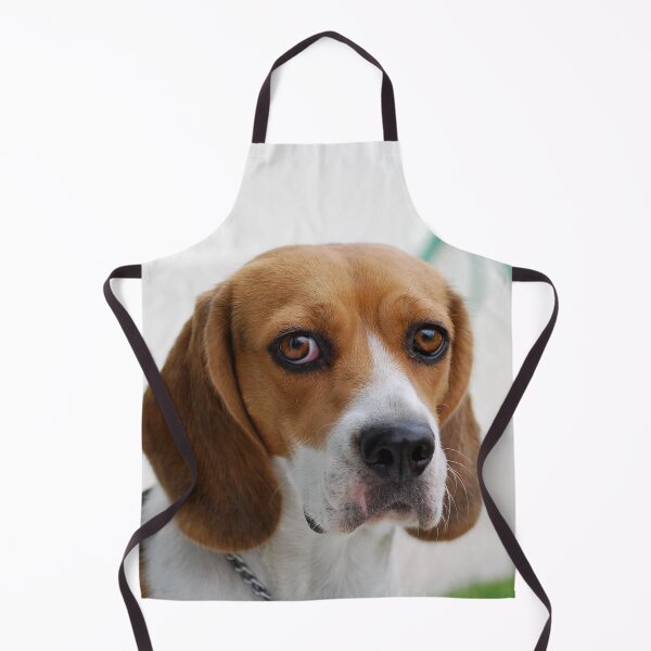 Item preview, Beagle dog portrait dogs pet pets puppy art cute Beagles  designed and sold by Coolstuff4you71.