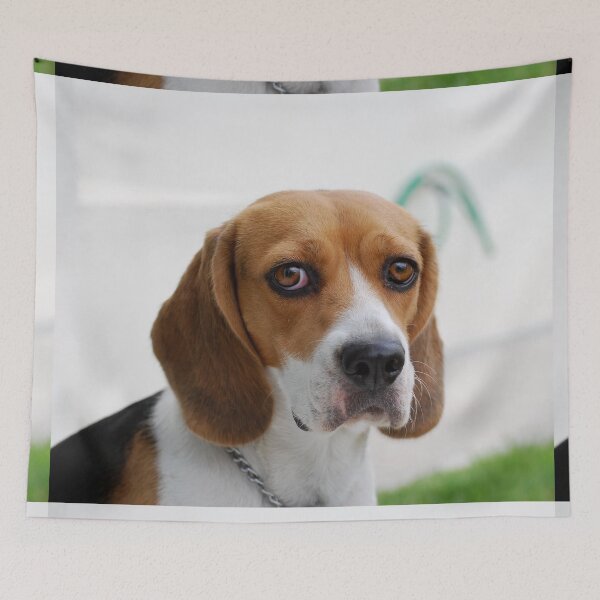 Item preview, Beagle dog portrait dogs pet pets puppy art cute Beagles  designed and sold by Coolstuff4you71.