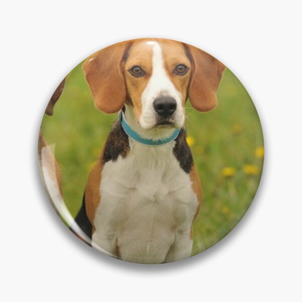 Item preview, Beagle dog portrait dogs pet pets puppy art cute Beagles  designed and sold by Coolstuff4you71.