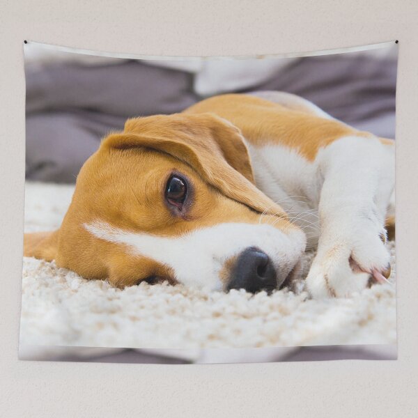 Item preview, sleeping Beagle dog portrait dogs pet pets puppy art cute Beagles  designed and sold by Coolstuff4you71.