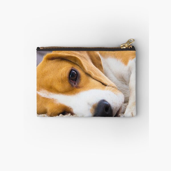 Item preview, sleeping Beagle dog portrait dogs pet pets puppy art cute Beagles  designed and sold by Coolstuff4you71.