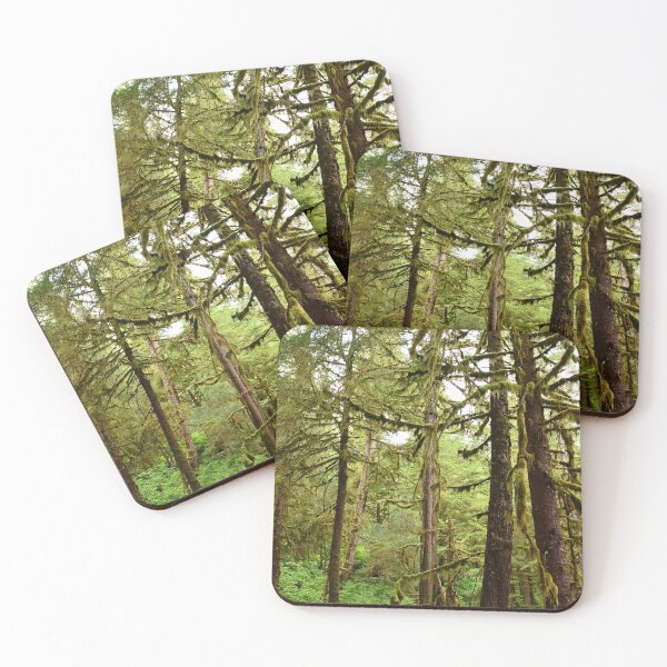 Item preview, Alaska Tongass National Forest, Juneau, Lush Green, Mossy Trees, Green Forest Photo designed and sold by naturecdesigns.
