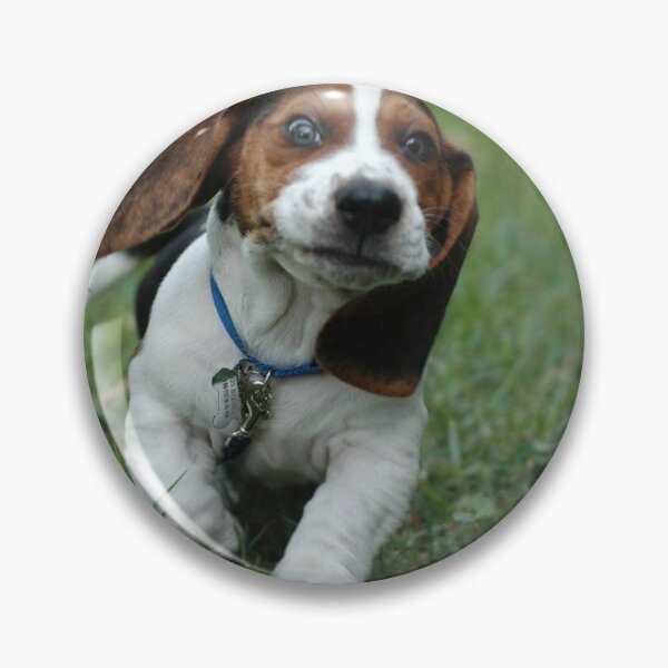 Item preview, Running Beagle dog portrait dogs pet pets puppy art cute Beagles  designed and sold by Coolstuff4you71.