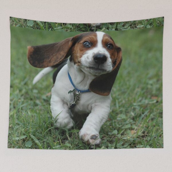 Item preview, Running Beagle dog portrait dogs pet pets puppy art cute Beagles  designed and sold by Coolstuff4you71.