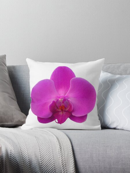 Item preview, Orchid, Dorne Phalaenopsis designed and sold by PixDezines.