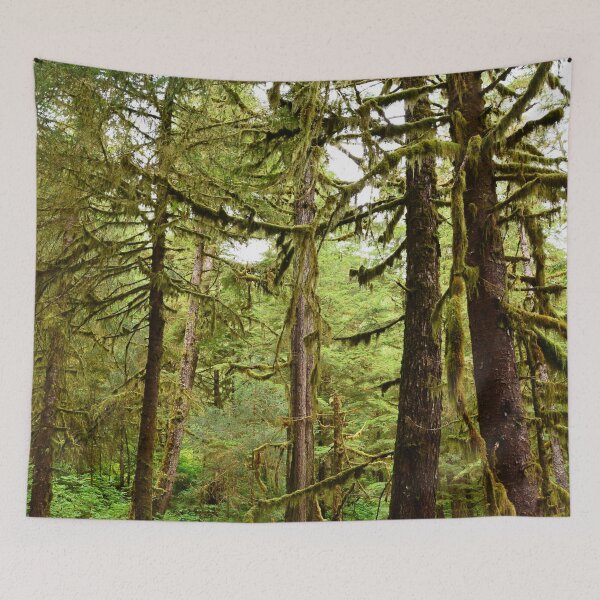 Item preview, Alaska Tongass National Forest, Juneau, Lush Green, Mossy Trees, Green Forest Photo designed and sold by naturecdesigns.