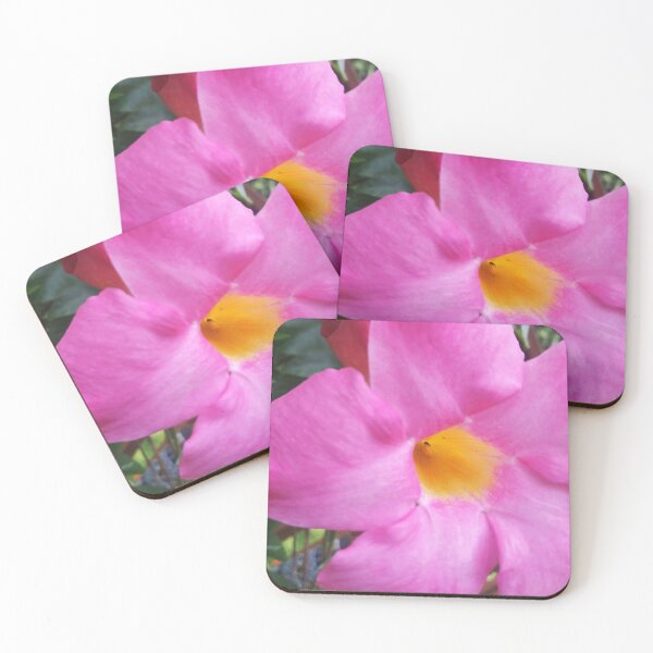 Artikelvorschau, Weiche Stärke, leuchtende rosa Blumen, Naturfotografie von Courtney Hatcher entworfen und verkauft von cghatcherart.