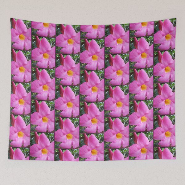 Artikelvorschau, Weiche Stärke, leuchtende rosa Blumen, Naturfotografie von Courtney Hatcher entworfen und verkauft von cghatcherart.
