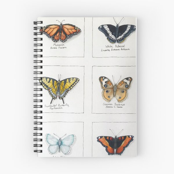 Item preview, Butterflies designed and sold by DesignByTina.
