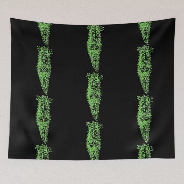 Item preview, NudiBranch Sketch 1 (SeaBunny) - Light Green designed and sold by miTeless seDign.