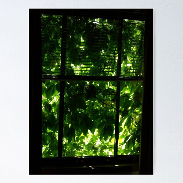 Item preview, Natures green window designed and sold by Tom McDonnell.