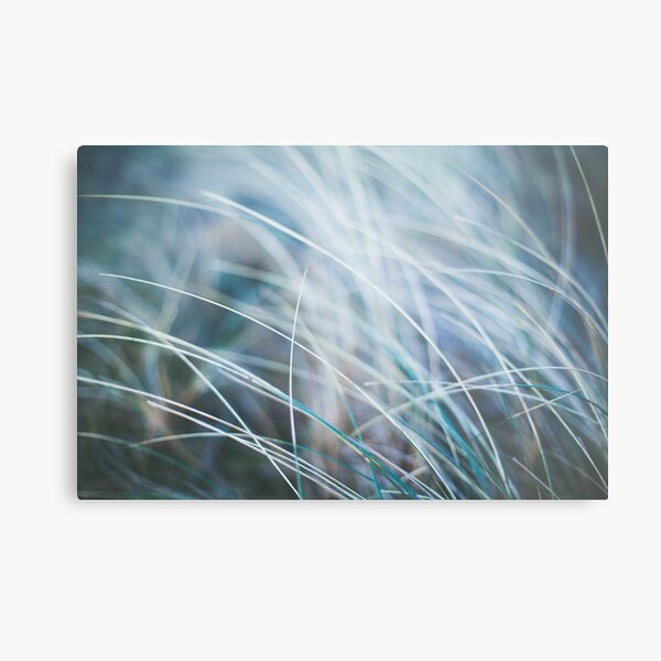 Dreamy Grass Metal Print