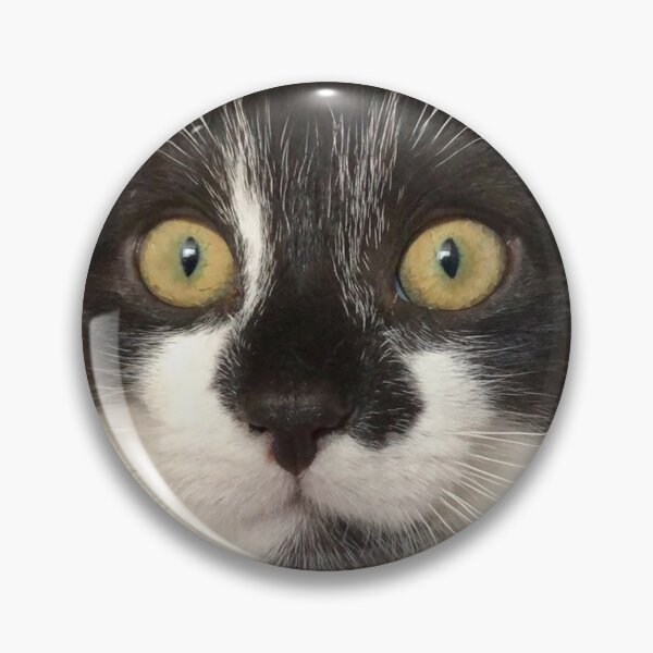 Item preview, Elliot the Cat designed and sold by Lottzel.