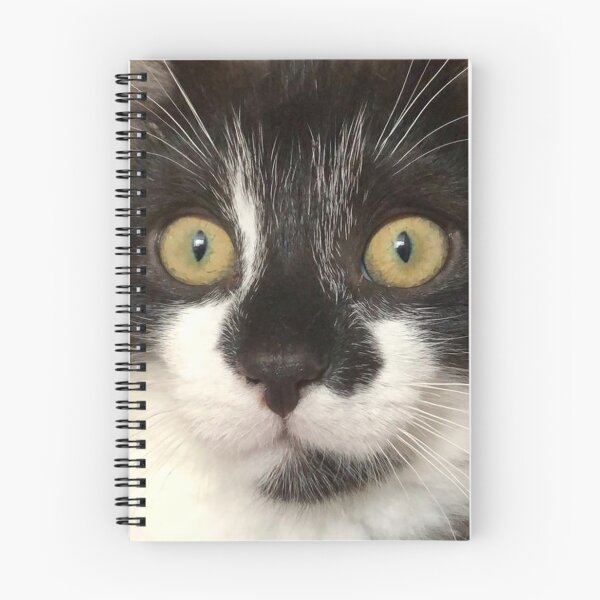 Item preview, Elliot the Cat designed and sold by Lottzel.