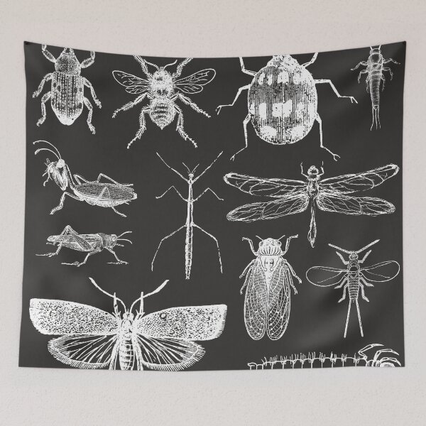 Item preview, Insect Entomology designed and sold by Kamaloca.