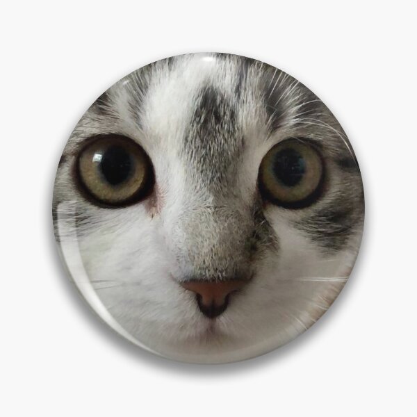 Item preview, Carter the Cat designed and sold by Lottzel.