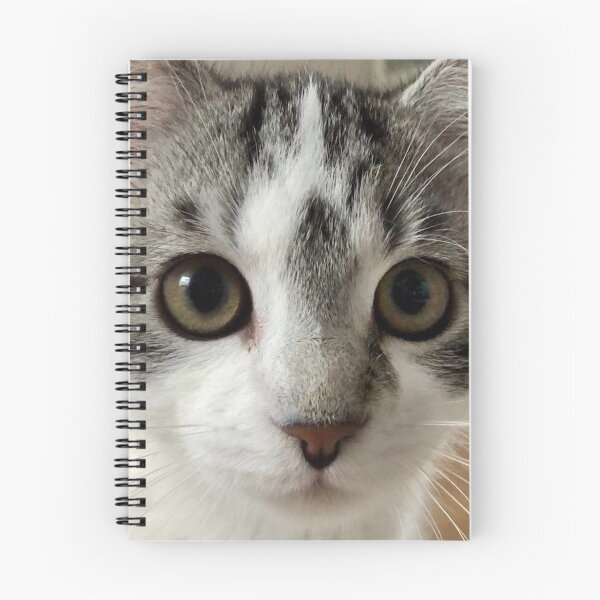 Item preview, Carter the Cat designed and sold by Lottzel.