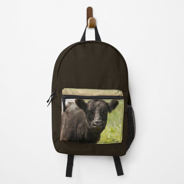 Item preview, Belted Galloway Cow designed and sold by Jane Stanley Photography.