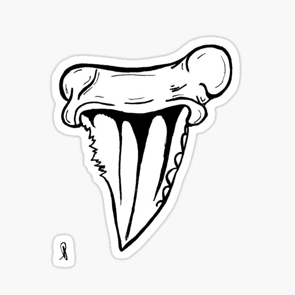 Download Shark Tooth Stickers | Redbubble