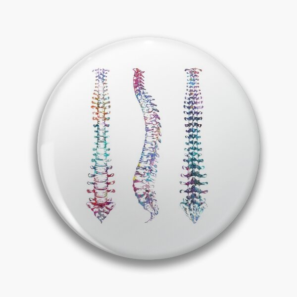 Item preview, Spine Front, Back, and Sideview Anatomy designed and sold by EvasDreams.