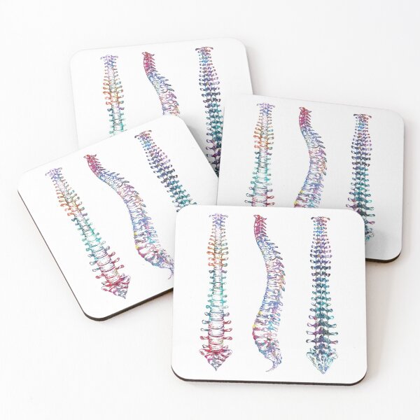 Item preview, Spine Front, Back, and Sideview Anatomy designed and sold by EvasDreams.