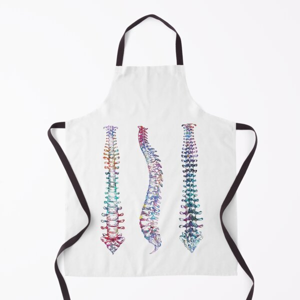 Item preview, Spine Front, Back, and Sideview Anatomy designed and sold by EvasDreams.