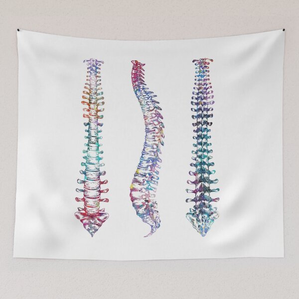 Item preview, Spine Front, Back, and Sideview Anatomy designed and sold by EvasDreams.