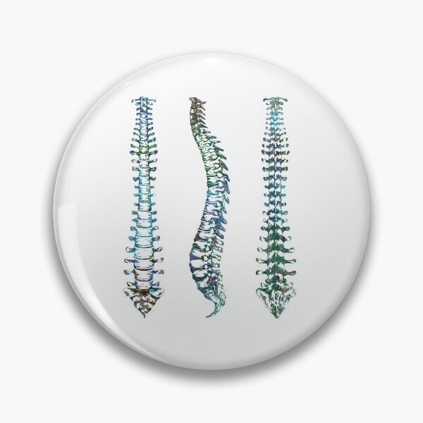 Item preview, Spine Front, Back, and Sideview Anatomy designed and sold by EvasDreams.