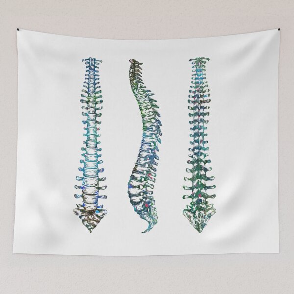Item preview, Spine Front, Back, and Sideview Anatomy designed and sold by EvasDreams.