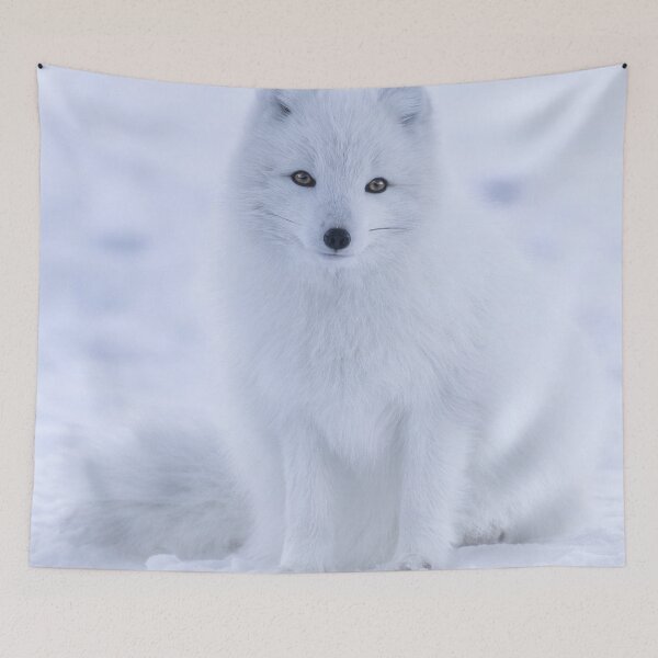 Item preview, Cute snow-fox. designed and sold by Lan thi Nguyen.