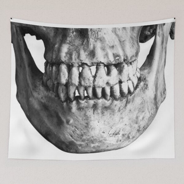 Item preview, SKELETON JAW designed and sold by carlarmes.