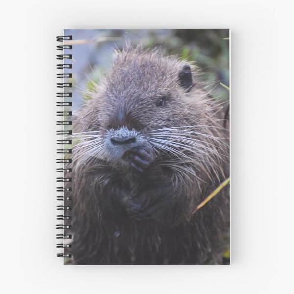 Item preview, Coypu designed and sold by DanaLauraPhoto.