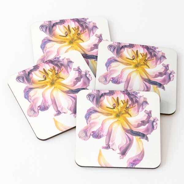 Item preview, tulip designed and sold by alan shapiro.