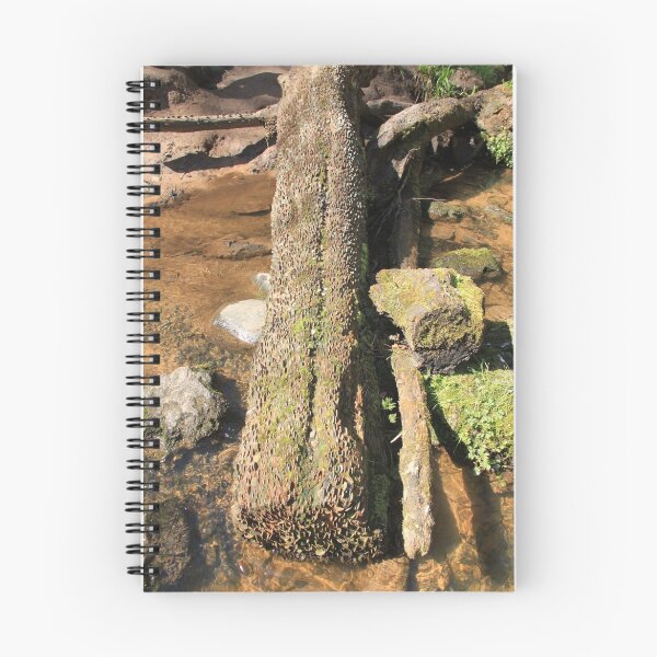 Item preview, The Fairy Glen Money Tree designed and sold by sandysshoots.