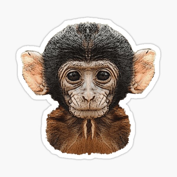 Stickers Sur Le Theme Singe Amoureux Redbubble