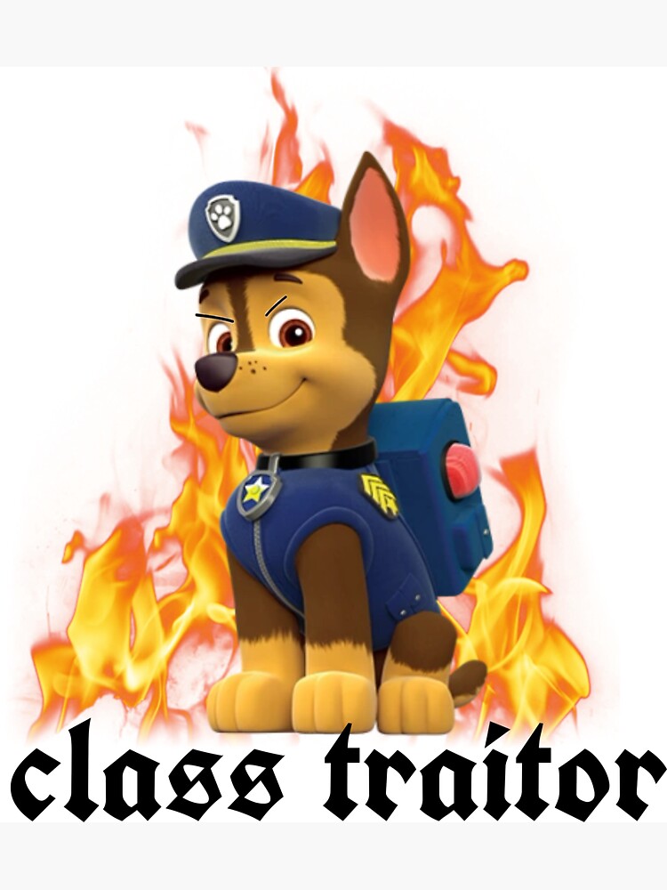 ACAB Paw Patrol Sticker Magnet for Sale by olivia122