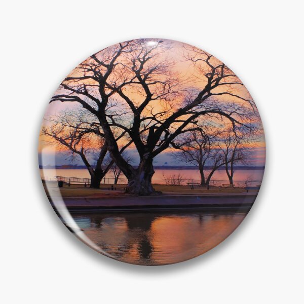 Item preview, Winter Tree,Captured in OKC, USA designed and sold by JohnDSmith.