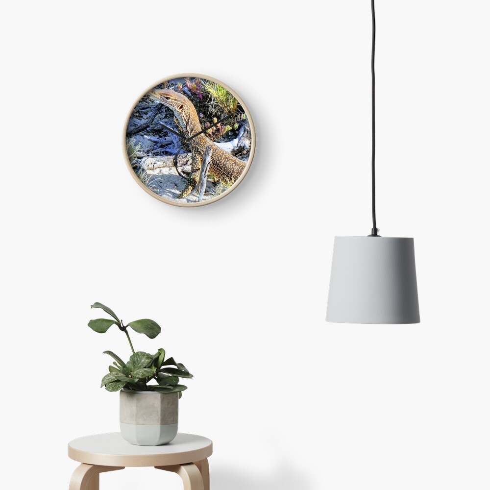 Perentie Australian Lizard Clock